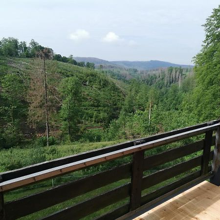 Harz-Butze Apartment Sankt Andreasberg Bagian luar foto