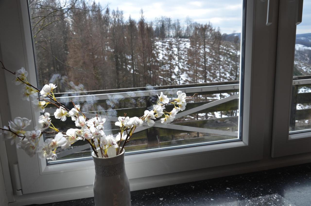 Harz-Butze Apartment Sankt Andreasberg Bagian luar foto