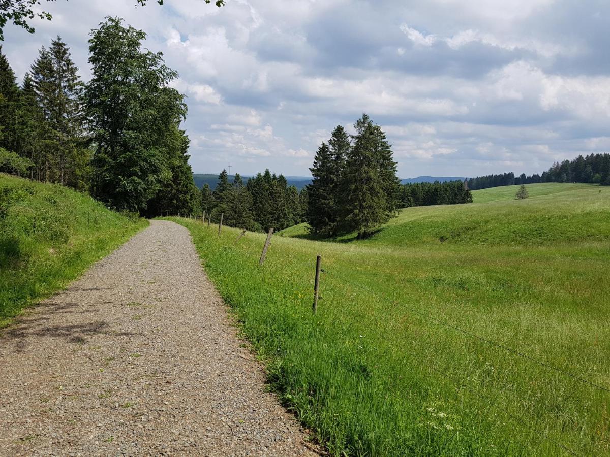 Harz-Butze Apartment Sankt Andreasberg Bagian luar foto