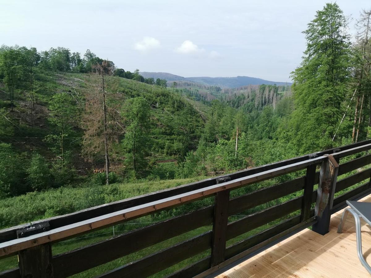 Harz-Butze Apartment Sankt Andreasberg Bagian luar foto